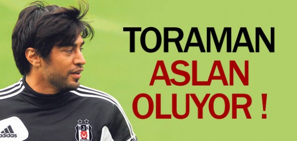 Toraman aslan oluyor